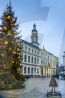 Christmas tree in Town Hall Square, Riga, UNESCO World Heritage Site, Latvia
