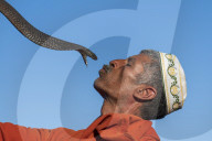 Snake charmer, Djemaa el Fna, Marrakech, Morocco, North Africa, Africa