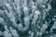 Detail of frozen methane bubbles at Lake Abraham, Kootenay Plains, Alberta, Canada