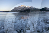 Methane gas bubbles at Lake Abraham, Kootenay Plains, Alberta, Canada