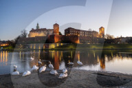 Wawel Hill Castle and Cathedral, Vistula River with swans, Krakow, Poland