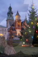 Wawel Castle with Christmas tree, Krakow, Poland
