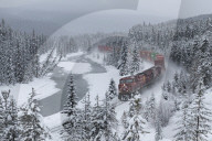 Canadian Pacific train at Morant's Curve in winter along the Bow River, Banff National Park, Alberta
