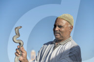 A Snake charmer, with snake, Djemaa el Fna, Marrakech, Morocco, North Africa, Africa