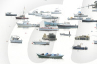 Fishing Fleet anchored in cove