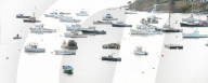 Fishing Fleet anchored in cove