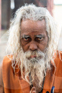 Head shot portrait of wild looking senior sadhu (holy man) with long grey hair and a beard, Bateshwar, Uttar Pradesh, India