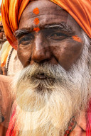 Head shot portrait of wise looking senior sadhu (holy man) dressed in orange with a bushy white beard.