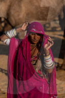Rajasthani woman, wife of a camel trader, in traditional clothing, lifting her veil, camels behind, Pushkar Camel Fair.