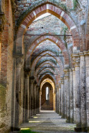 Colonnade in roofless 13th Century Gothic, Cistercian Abbey of San Galzano, Chiusdino, Tuscany, Italy
