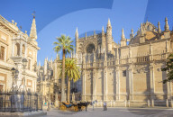 Carriage rides offered outside Seville cathedral and the General Archive of the Indies building Seville Spain EU Europe