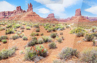 Valley of the Gods, Utah, USA,