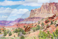 Sandstone cliffs, Capitol Reef National Park, Utah, USA, North America