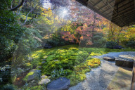 Japan, Kansai, Kyoto, autumn leaves at Ruriko-in temple