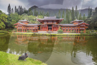 United States of America, Hawaii, Oahu island, Byodo-in Japanese temple
