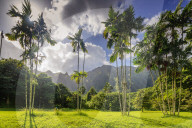 United States of America, Hawaii, Oahu island, Ho'omaluhia Botanical garden