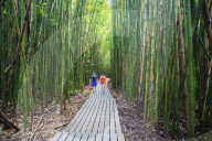 United States of America, Hawaii, Maui island, Haleakala National Park, hikers on Pipiwai trail, bamboo forest