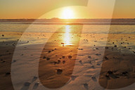 Torrey Pines State Beach, Del Mar, San Diego County, California, USA
