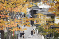 People walking along Omotesando Street, Harajuku, Tokyo, Japan