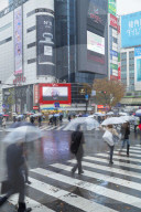 People walking across Shibuya Crossing, Shibuya, Tokyo, Japan