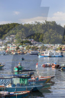 Fishing boats in harbour, Cheung Chau, Hong Kong