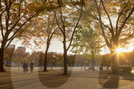 Autumn colours in Shirakawa Park, Nagoya, Japan