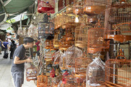Bird Market, Mong Kok, Kowloon, Hong Kong