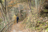 Man hiking forest on Nakasendo Way, Tsumago, Gifu Prefecture, Japan (MR)