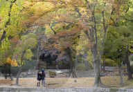 Secret Garden in Changdeokgung Palace (UNESCO World Heritage Site), Seoul, South Korea