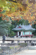 Man sitting in Secret Garden in Changdeokgung Palace (UNESCO World Heritage Site), Seoul, South Korea