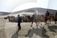 Tourists on camels being led into the Singing Sand Dunes in Dunhuang, NW Gansu province, China