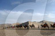 Tourists on camels being led through the Singing Sand Dunes in Dunhuang, NW Gansu province, China