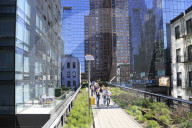 High Line Park, Manhattan, New York City, New York, United States of America