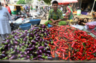 Man selling aubergines and capsicum on street barrow in the market, Gondal, Gujarat, India