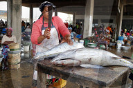 Port of Lome. Fish market. Tuna fish. Togo.