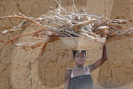 African village. Young girl carrying firewood on his head. Daily life. Datcha-Attikpaye. Togo.