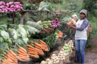 Woman selling fresh vegetables at market. Madagascar.