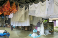 Man in lungi hanging sheets to dry at the Dhobi Khana, a rare old Tamil hand wash laundry; Veli, Kochi (Cochin), Kerala, India