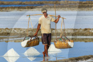 Man with shoulder pole harvesting the salt fields around the Praek Tuek Chhu River estuary south of the city, Kampot, Cambodia