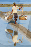 Man with shoulder pole harvesting the salt fields around the Praek Tuek Chhu River estuary south of the city, Kampot, Cambodia