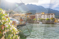 View of harbour and architecture on a sunny day, Malcesine, Province of Verona, Italy, Europe