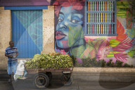 Banana Stall, Getsemani Barrio, Cartagena, BolÃ­var Department, Colombia, South America