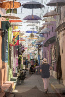Street Scene, Getsemani Barrio, Cartagena, BolÃ­var Department, Colombia, South America