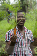 Carrots are grown at high elevation close to the equator in Sao Tome.