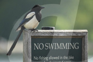 Hot out and about in Hyde Park today