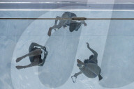 FEATURE - Badende geniessen den Sky Pool, das erste durchsichtigen Schwimmbad Ã¼ber London