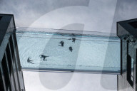 FEATURE - Badende geniessen den Sky Pool, das erste durchsichtigen Schwimmbad Ã¼ber London