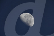 Lunch with the Moon