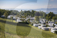 NEWS - Voll belegte Campingplätze auf der deutschen Seite am Bodensee