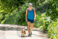 Members of the public enjoy a walk on Box Hill, Surrey as the warm weather continues.